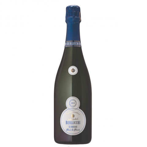 Immagine spumante Guido Berlucchi, Franciacorta DOCG Nature blanc de blancs 2013